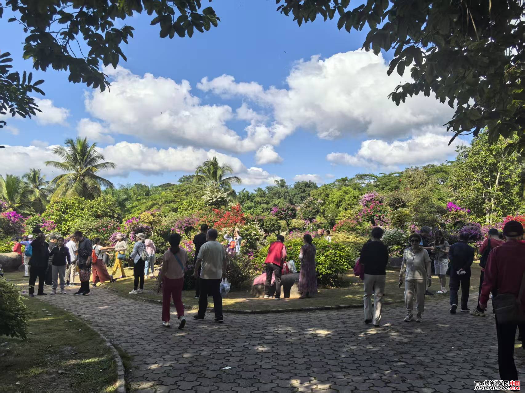 图片关键词 图片关键词