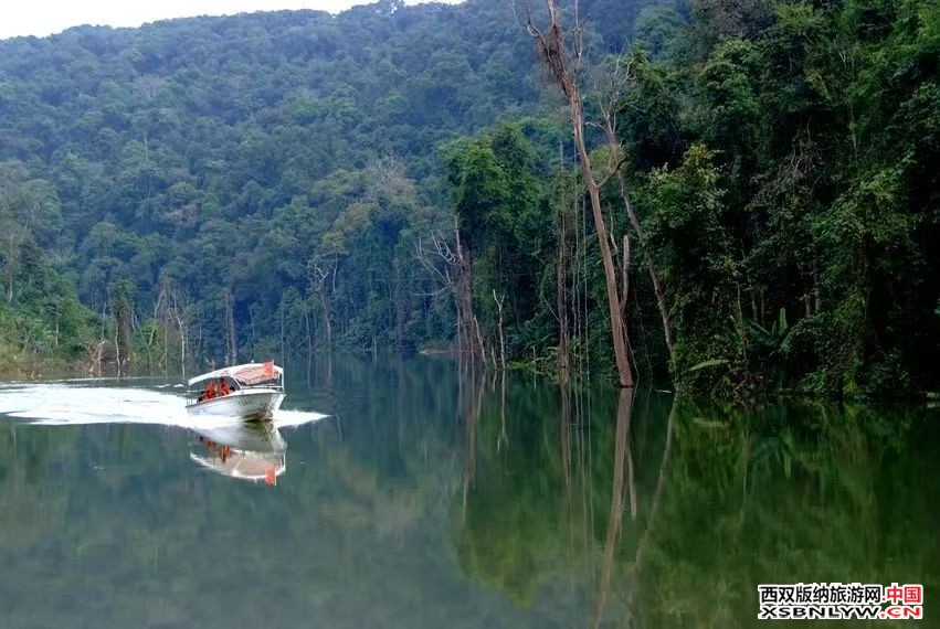 图片关键词 图片关键词