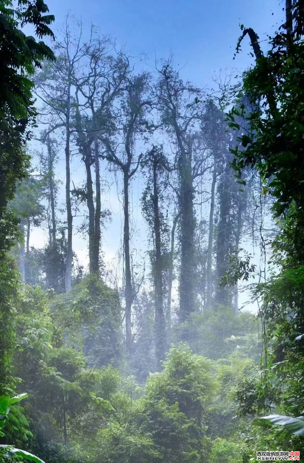 图片关键词 图片关键词