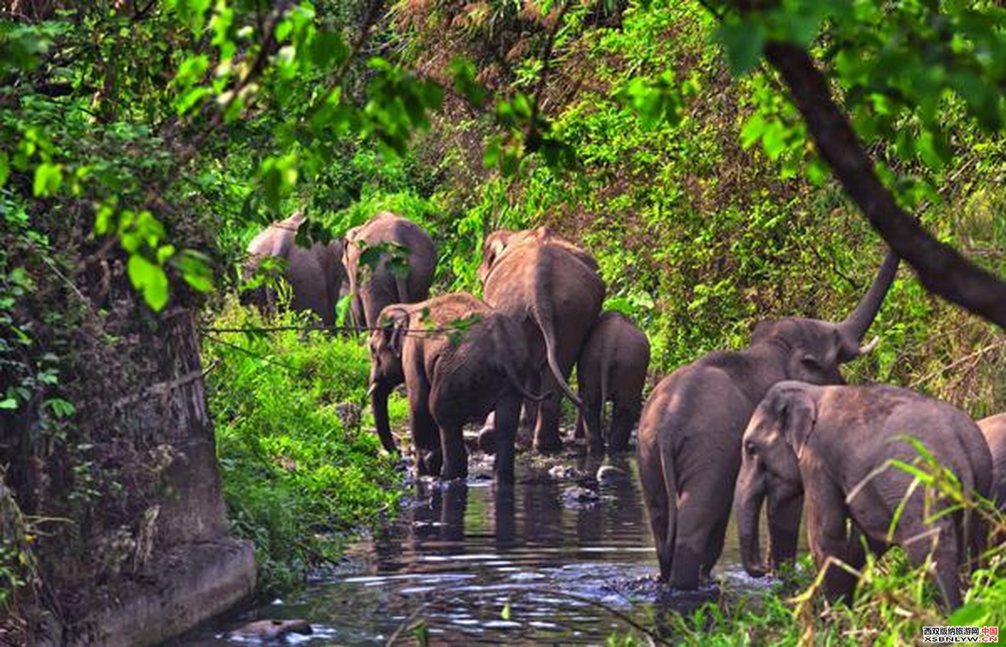 图片关键词 图片关键词