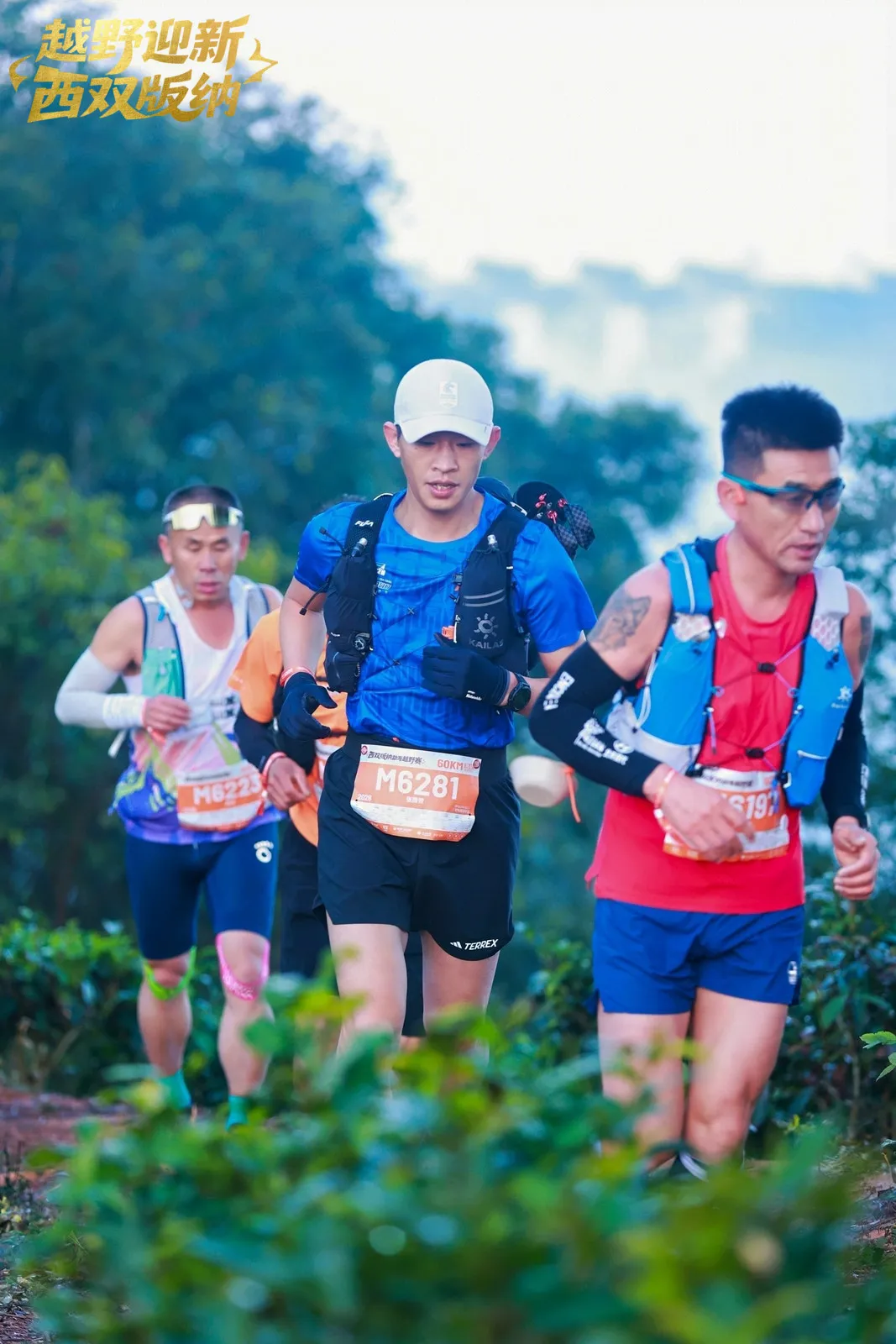 图片关键词 图片