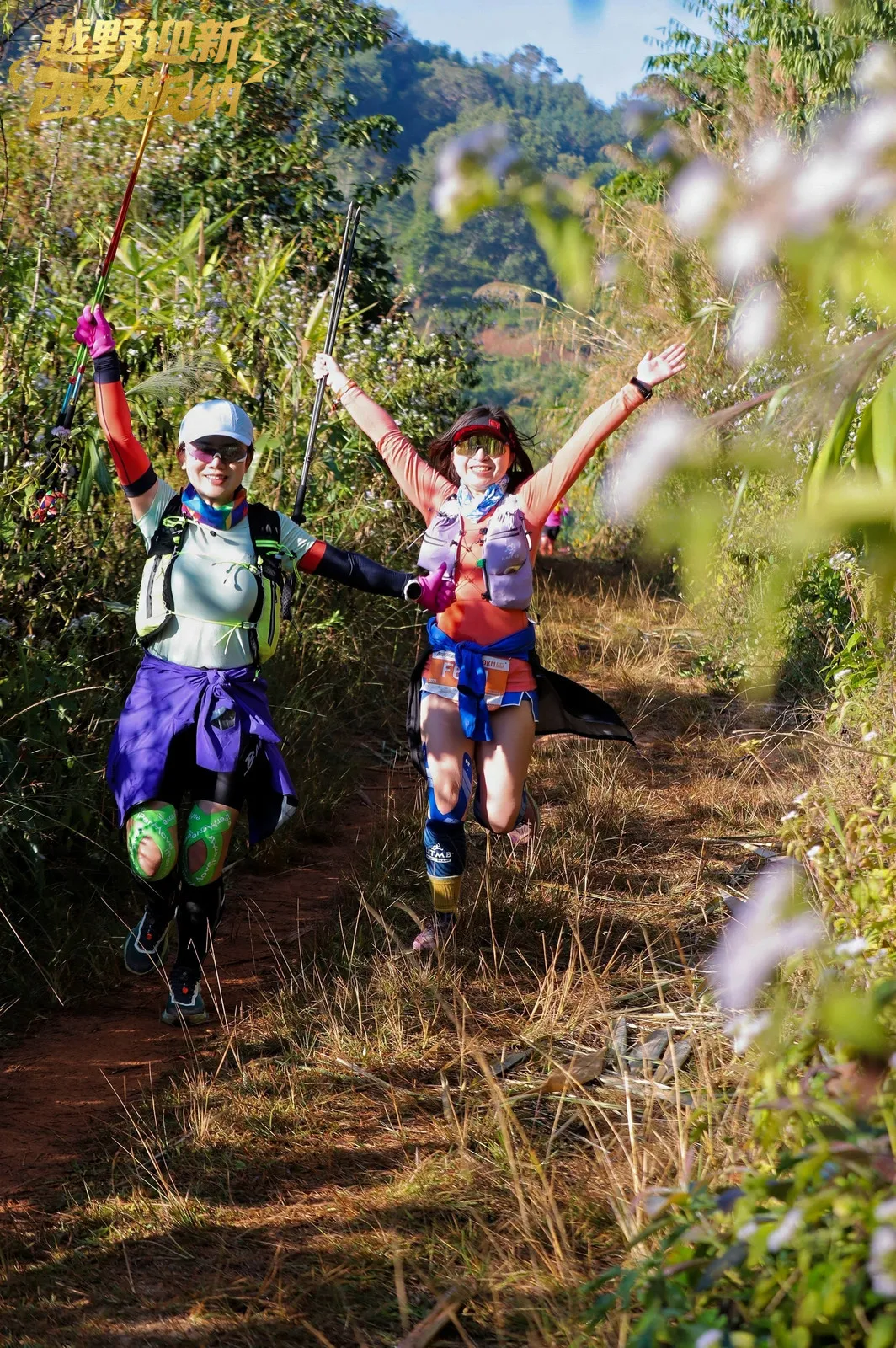 图片关键词 图片