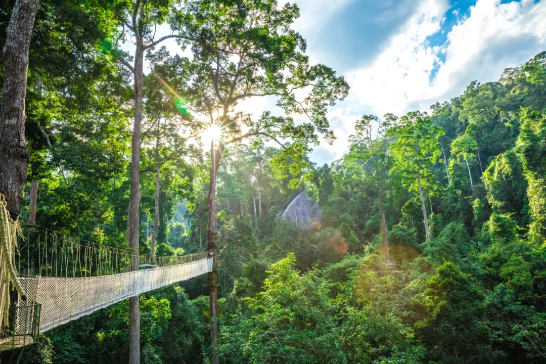 图片关键词 图片