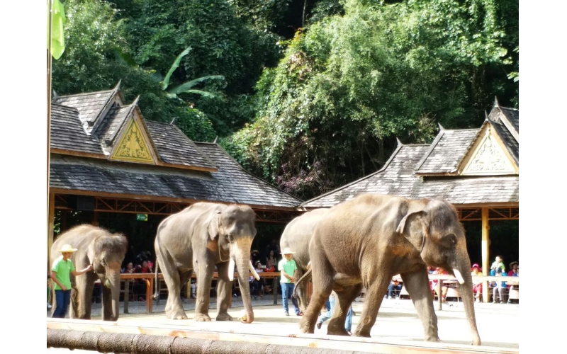 云南省西双版纳傣族自治州概况