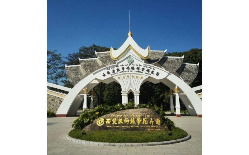 云南西双版纳热带花卉园景区
