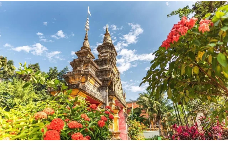 只有西双版纳能遇见,&ldquo;全球独一无二&rdquo;绝无仅有,这10大奇景